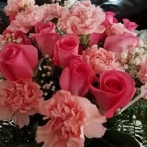 Meet your Posher, Rae